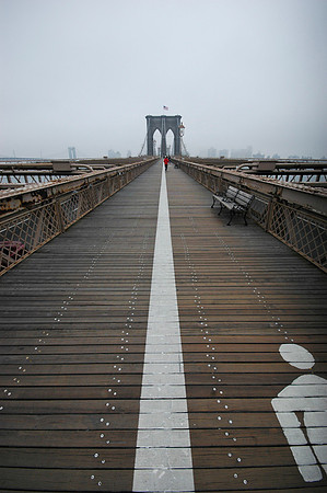 NYC-2785