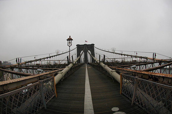NYC-2831