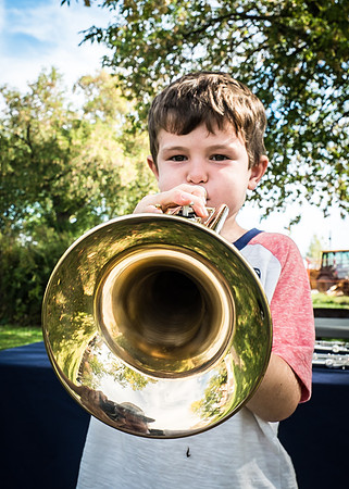 Blow Your Horn