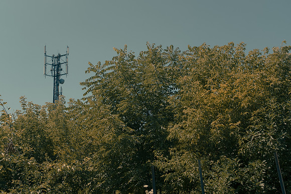 DSCF0437