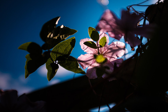 DSCF0232