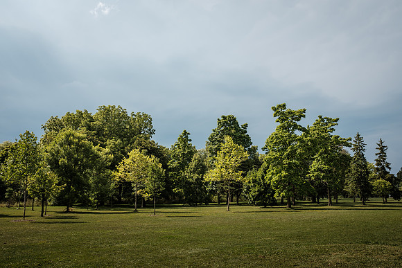 DSCF0426