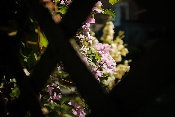 DSCF0220