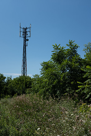 DSCF0440