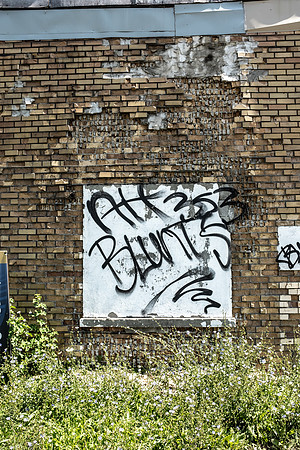 DSCF0453