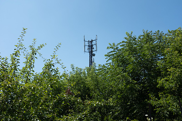 DSCF0438