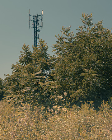 DSCF0439