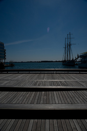 20090427-_7004944.jpg
