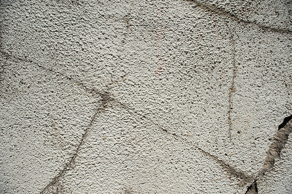 20090427-_7004899.jpg
