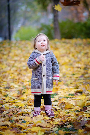 Leaf