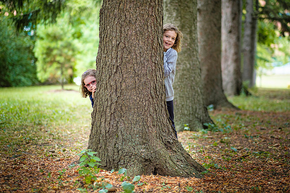 Behind the Tree