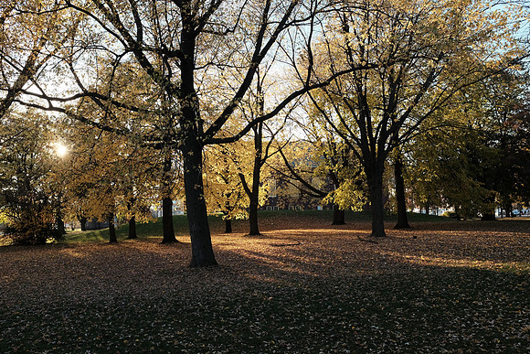 DSCF6435