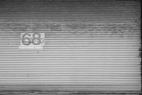 DSCF6919