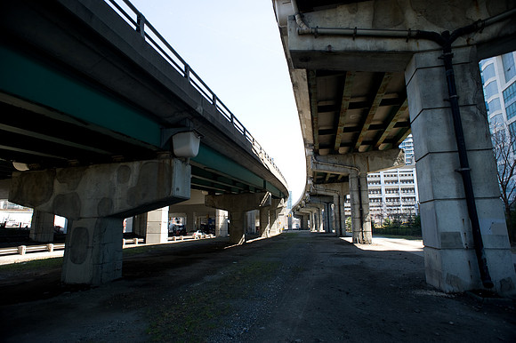 20090427-_7004912.jpg