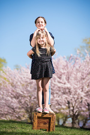 Blossoms