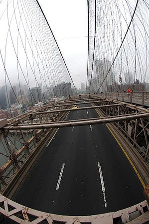 NYC-2839