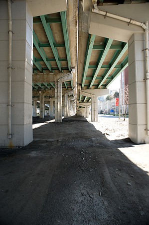 20090427-_7004854.jpg