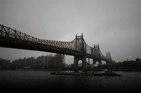 NYC-2731