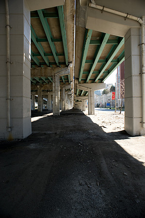 20090427-_7004855.jpg