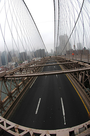 NYC-2838