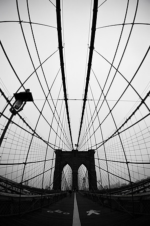 NYC-2835