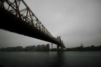 NYC-2719